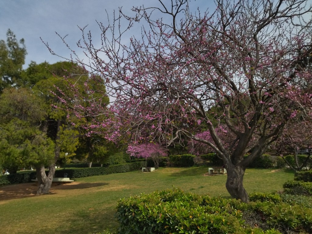 Πάνω στη Βεΐκου