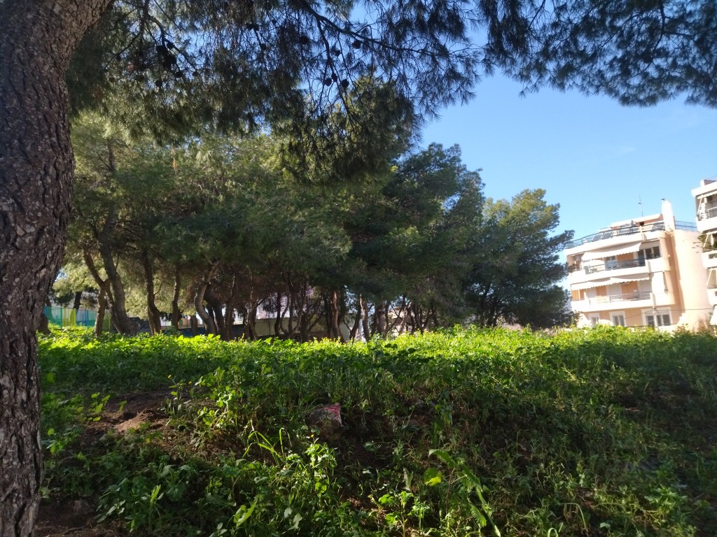 Το αγαπημένο Άλσος Παλαιολόγου 